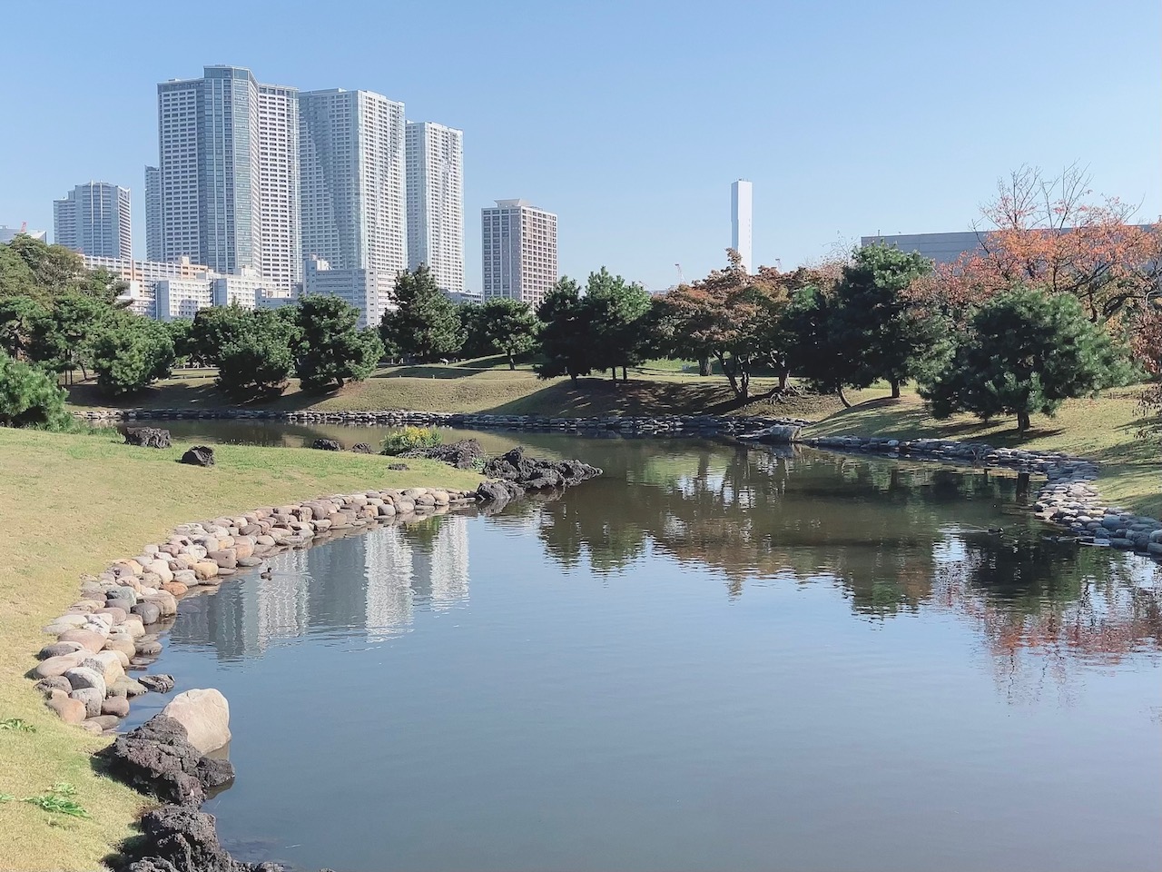 🌼教室お出かけ講座【浅草から水上バスで浜離宮へ】🌼