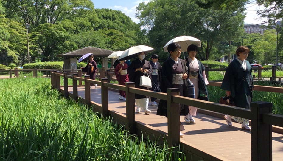 🌼舞鶴公園花めぐり🌼