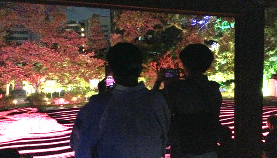 夜に輝く博多を散策❕🌃✨